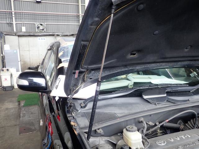 BONNET/HOOD LID GAS STRUT